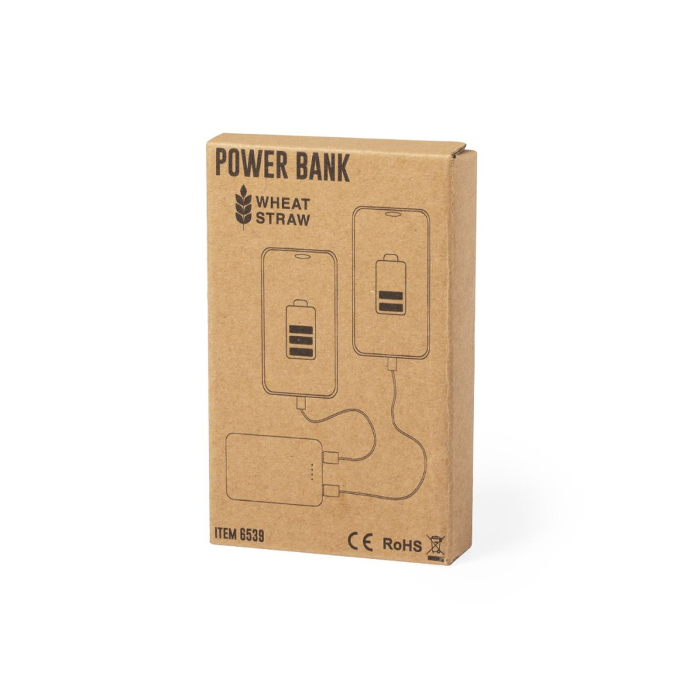 SHIDEN - Power Bank