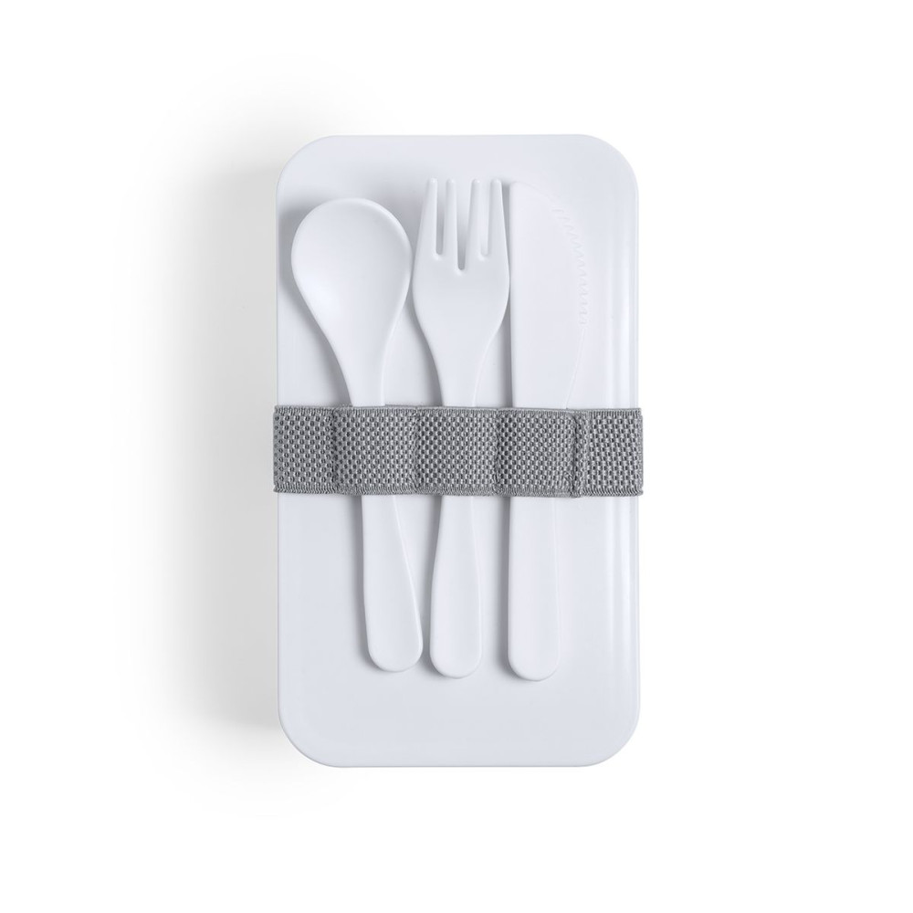 FANDEX - Antibacterial Lunch Box