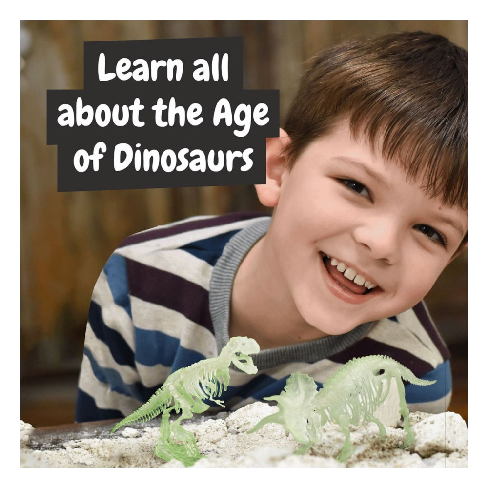2 IN 1 FOSSIL EXCAVATION KIT I - Educational game for children