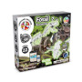 2 IN 1 FOSSIL EXCAVATION KIT V - Educational game supplied with a 190T folding gift bag 2 IN 1 FOSSIL EXCAVATION KIT V - Educational game supplied with a 190T folding gift bag