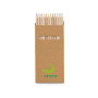 CROCO - Pencil box with 12 coloured pencils CROCO - Pencil box with 12 coloured pencils