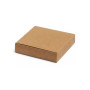 PARROT - Pack of 4 chalk sticks