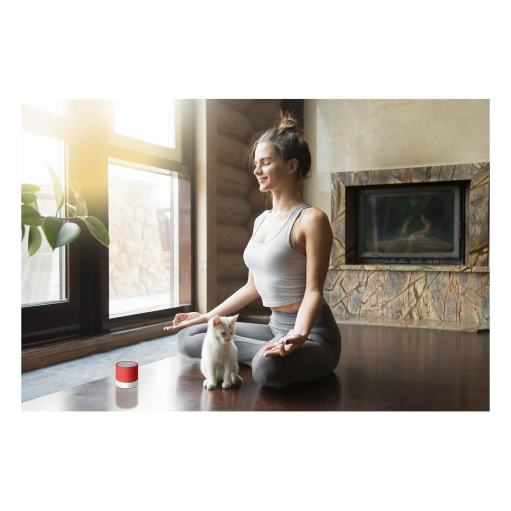 PEREY - ABS portable speaker with microphone