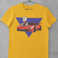 Влад А4 Lamborghini